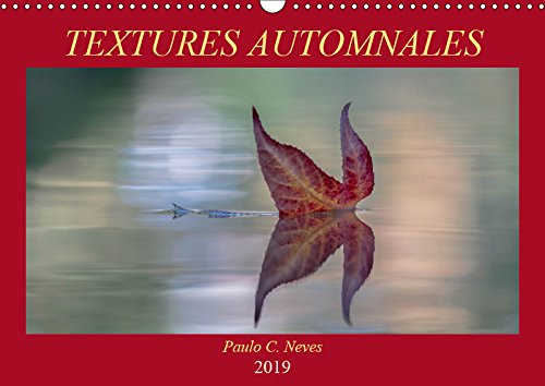 Textures automnales (Calendrier mural 2019 DIN A3 horizontal): De près ou de tres près, que des images d'automne... (Calendrier anniversaire, 14 Pages ) (Calvendo Nature) Film, Art & Culture