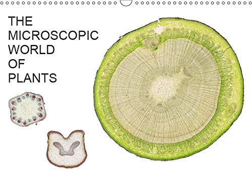 THE MICROSCOPIC WORLD OF PLANTS (Wall Calendar 2019 DIN A3 Landscape): Impressive organic photographs, the perfect gift for a gardener, florist, ... ... for a gardener, florist, student and teacher. Leisure, Home & Garden