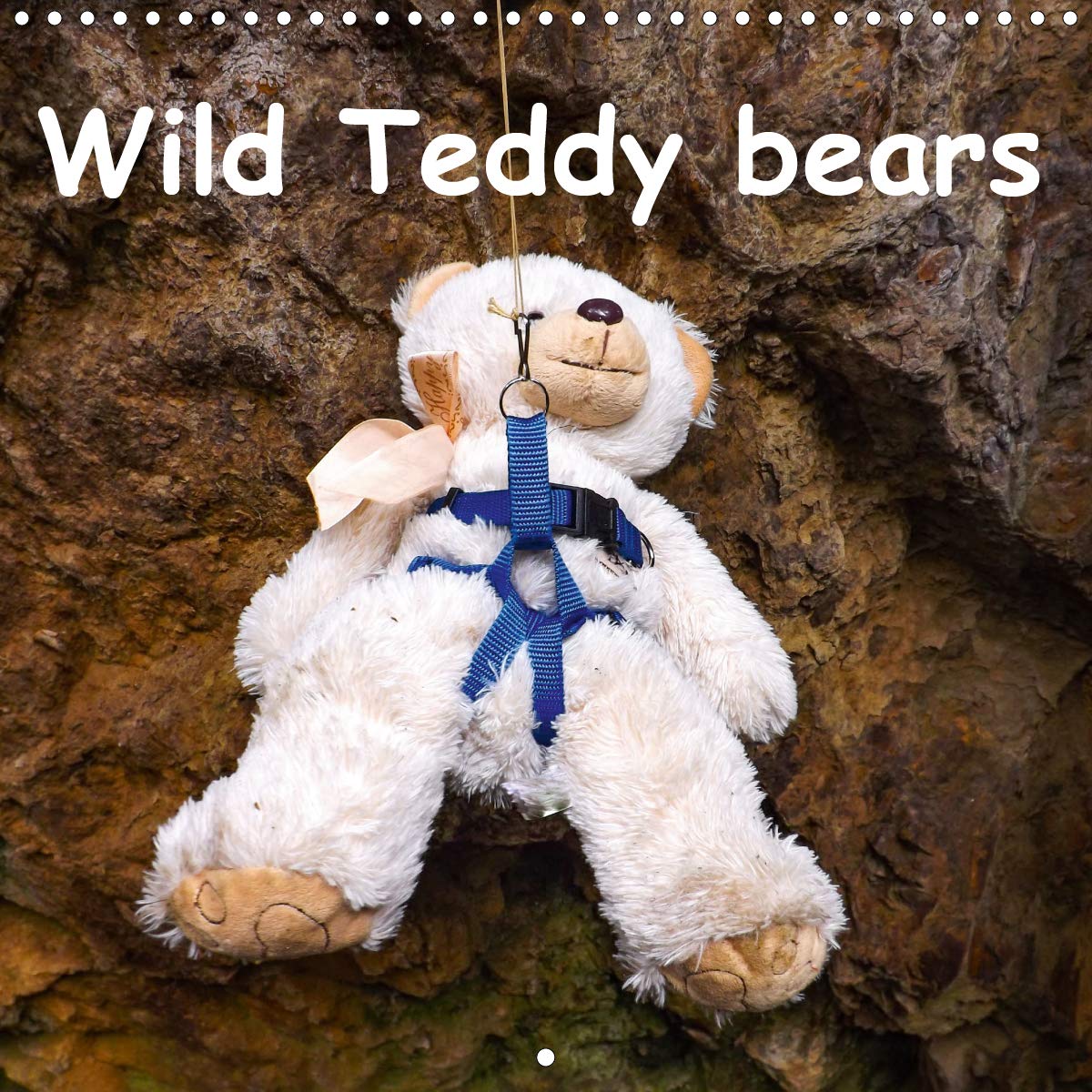 Wild Teddy bears 2020: Some fun with the Teddy bears. Monthly calender (Calvendo Fun) Non-fiction