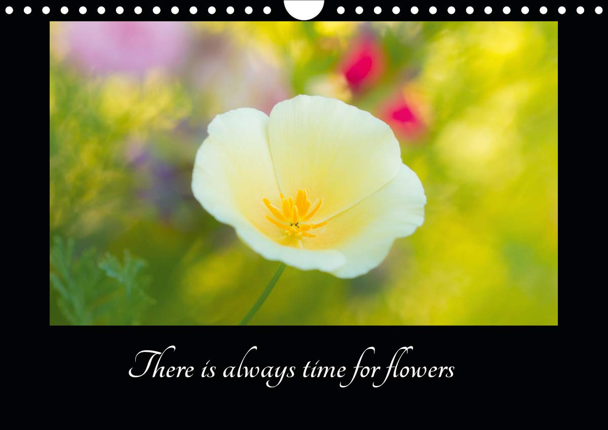 There is always time for flowers 2020: Beautiful flowers for closer look (Calvendo Nature) Garden & Plants