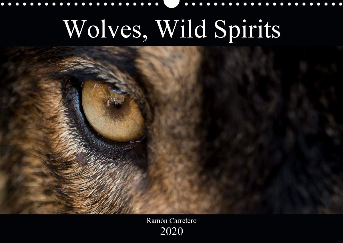 Wolves, Wild Spirits 2020: Stunning images of the most legendary predator. (Calvendo Animals) Mathematics