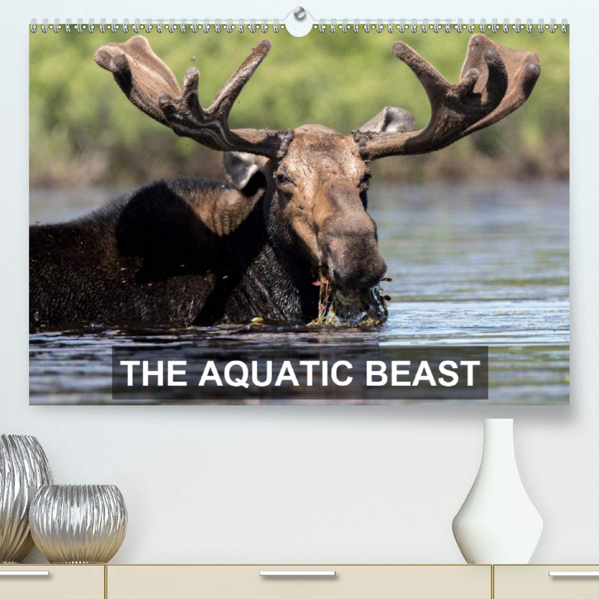 THE AQUATIC BEAST 2020: Moose in their favorite lakes (Calvendo Animals) Non-fiction