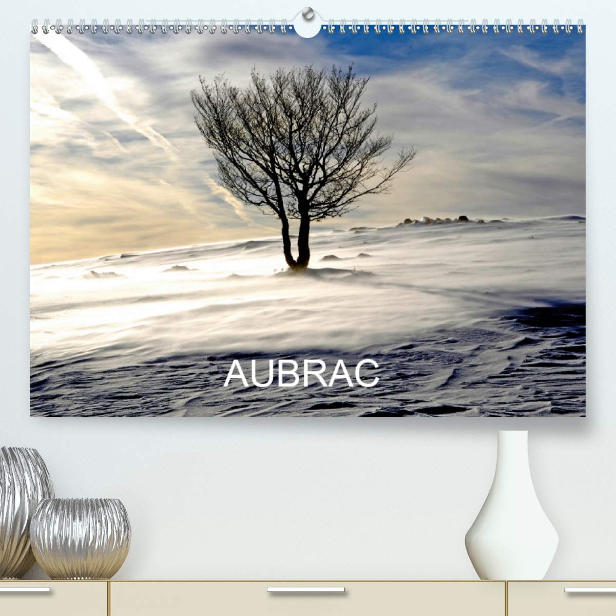 AUBRAC 2020: Plateau du sud du Massif central (Calvendo Places) Geology & Geography