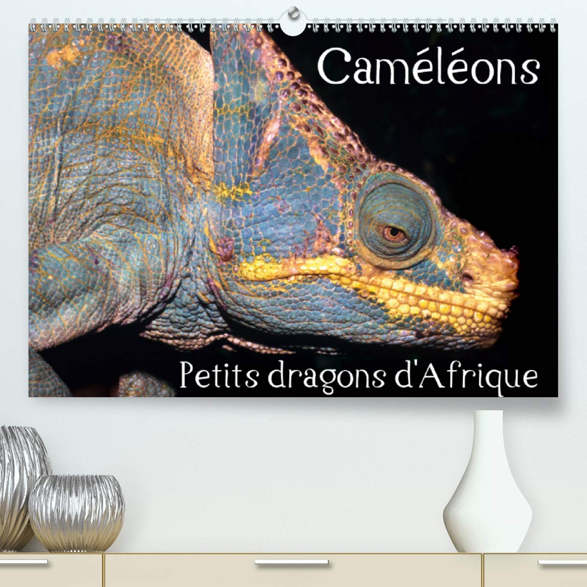 Caméléons - Petits dragons d'Afrique. 2020: Douze portraits extraordinaires des plus surprenantes espèces de caméléons. (Calvendo Animaux) Mathematics