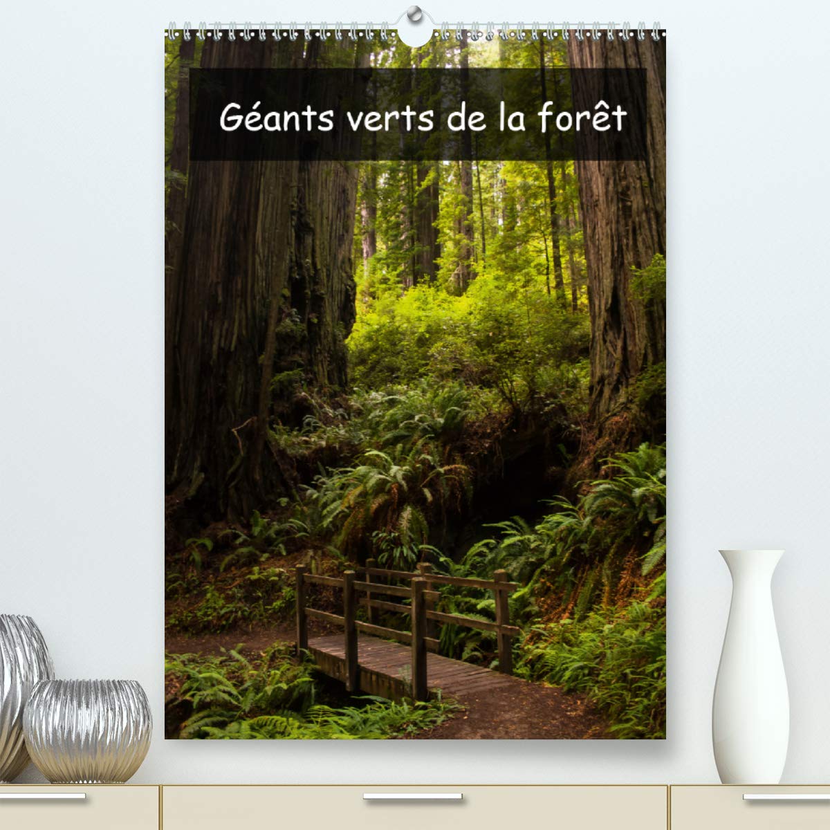 Géants verts de la forêt 2020: Arbres anciens et forêt tropicale de la côte nord-ouest américaine (Calvendo Nature) Photography