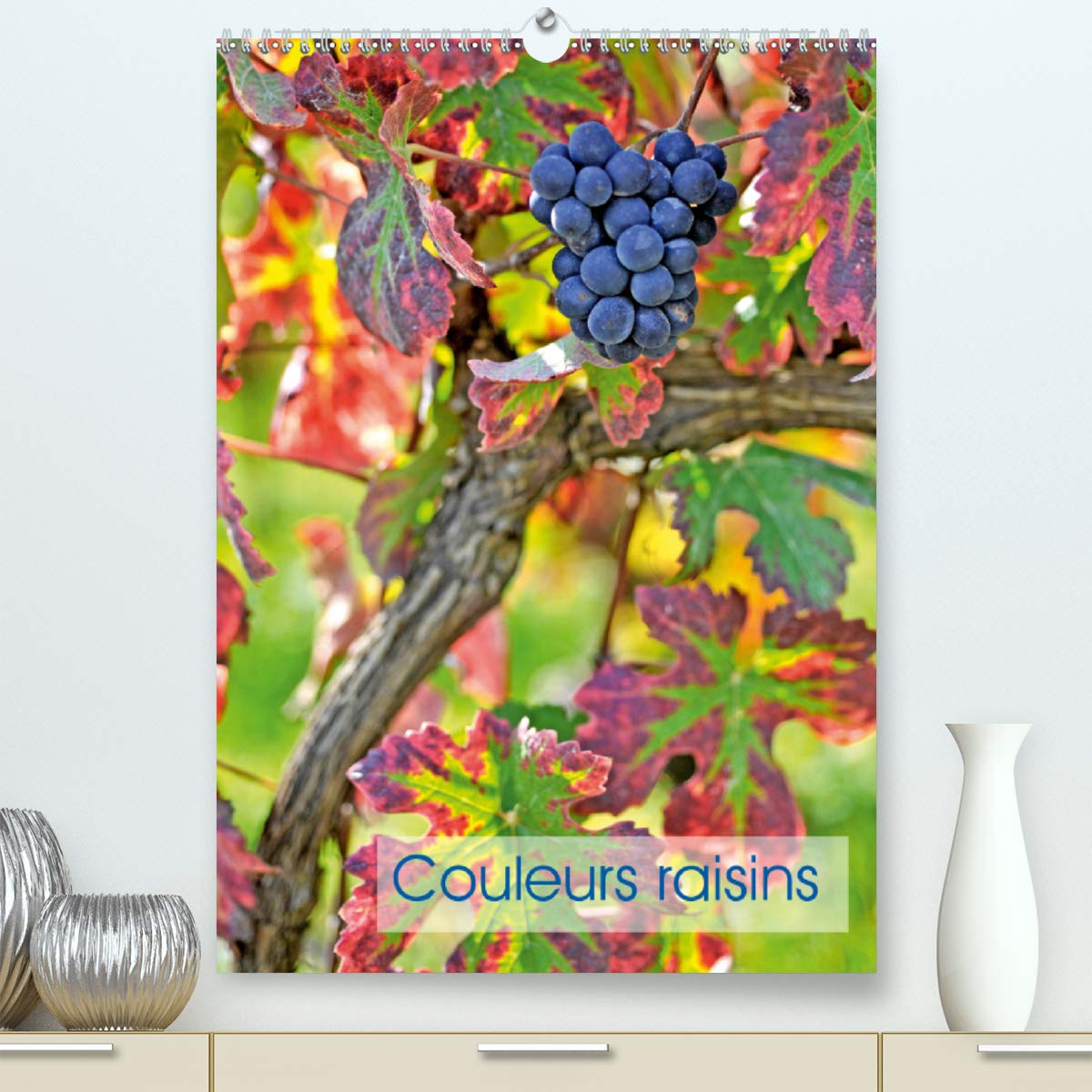 Couleurs raisins 2020: Grappes de raisins (Calvendo Nature) Mathematics