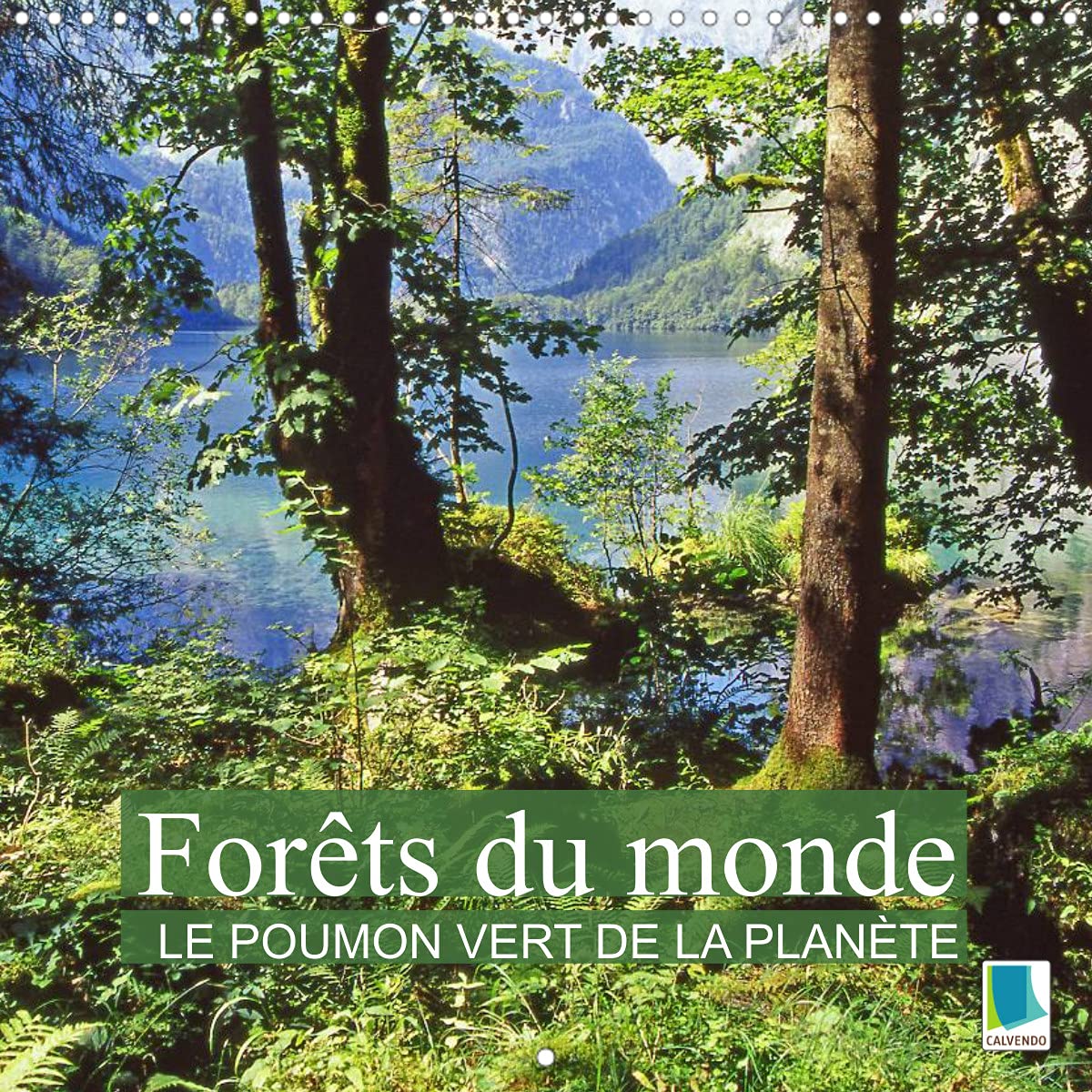 Forêts du monde - Le poumon vert de la planète (Calendrier mural 2022 300 × 300 mm Square): La forêt - Des oasis de paix et de détente (Calendrier mensuel, 14 Pages ) Leisure, Home & Garden