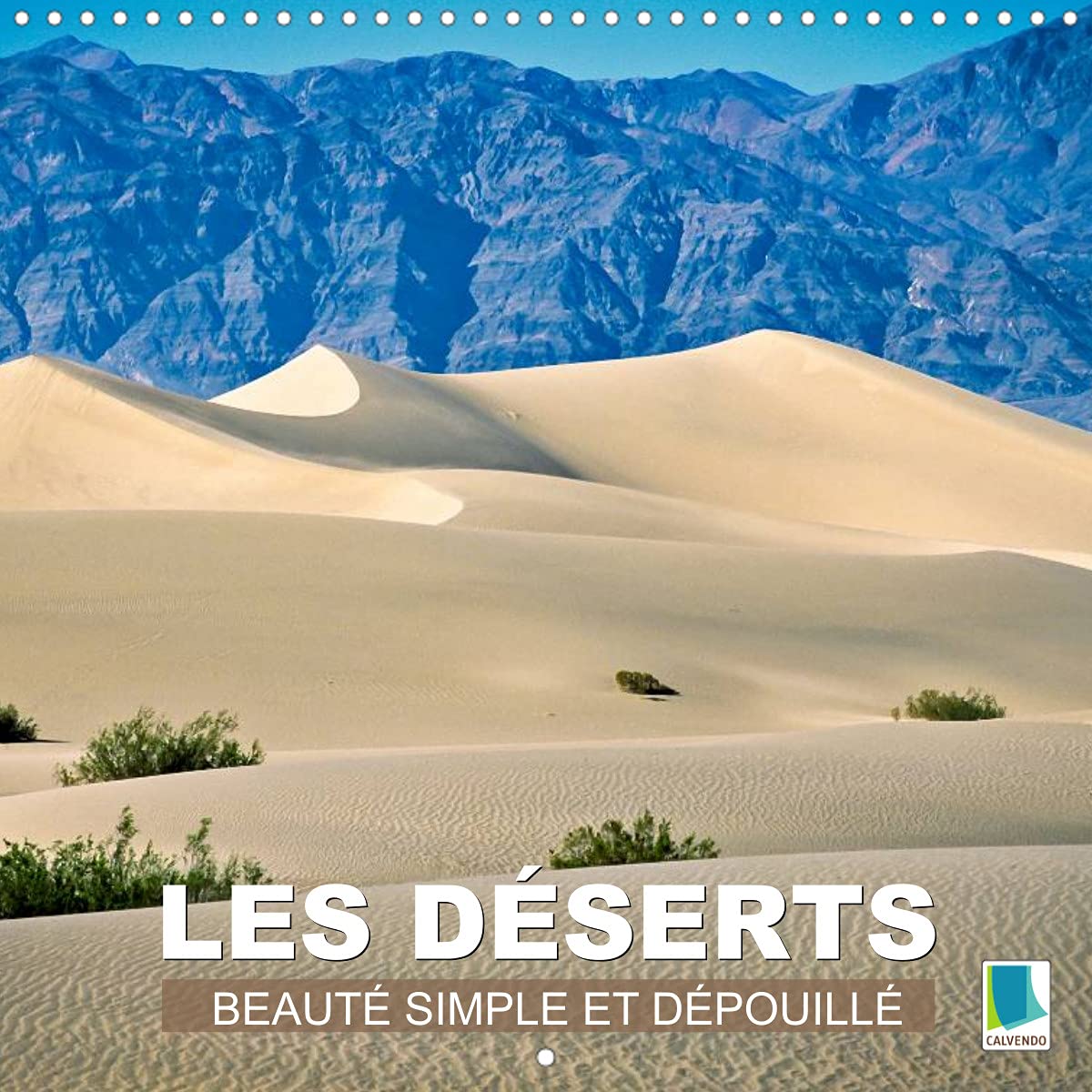 Les déserts - Beauté simple et dépouillée (Calendrier mural 2022 300 × 300 mm Square): Sable chaud étendues infinies - le désert (Calendrier mensuel, 14 Pages ) Leisure, Home & Garden