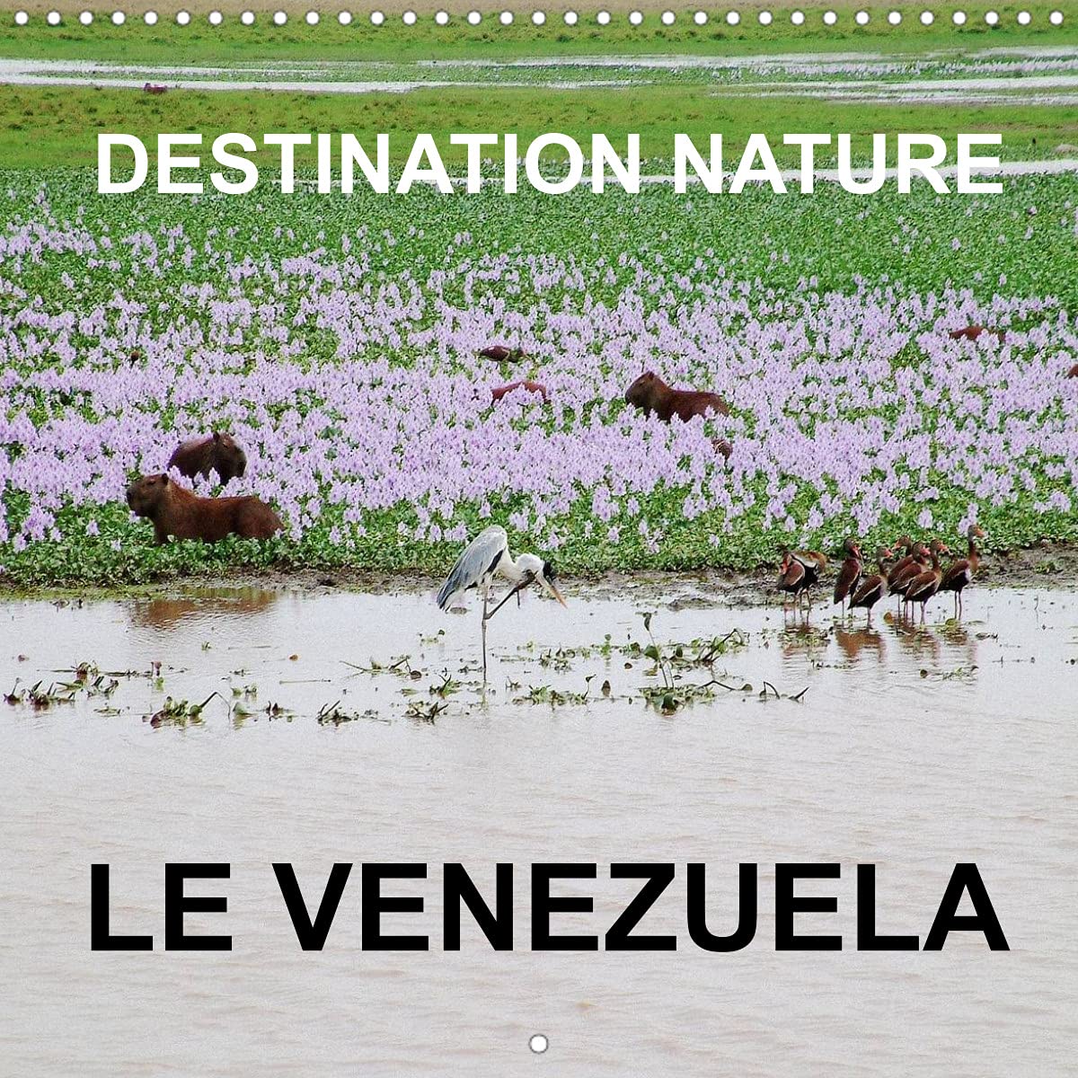 Destination nature le Venezuela (Calendrier mural 2022 300 × 300 mm Square): Les attractions touristiques naturelles du Venezuela comprennent la Gran ... et la flore (Calendrier mensuel, 14 Pages ) Leisure, Home & Garden