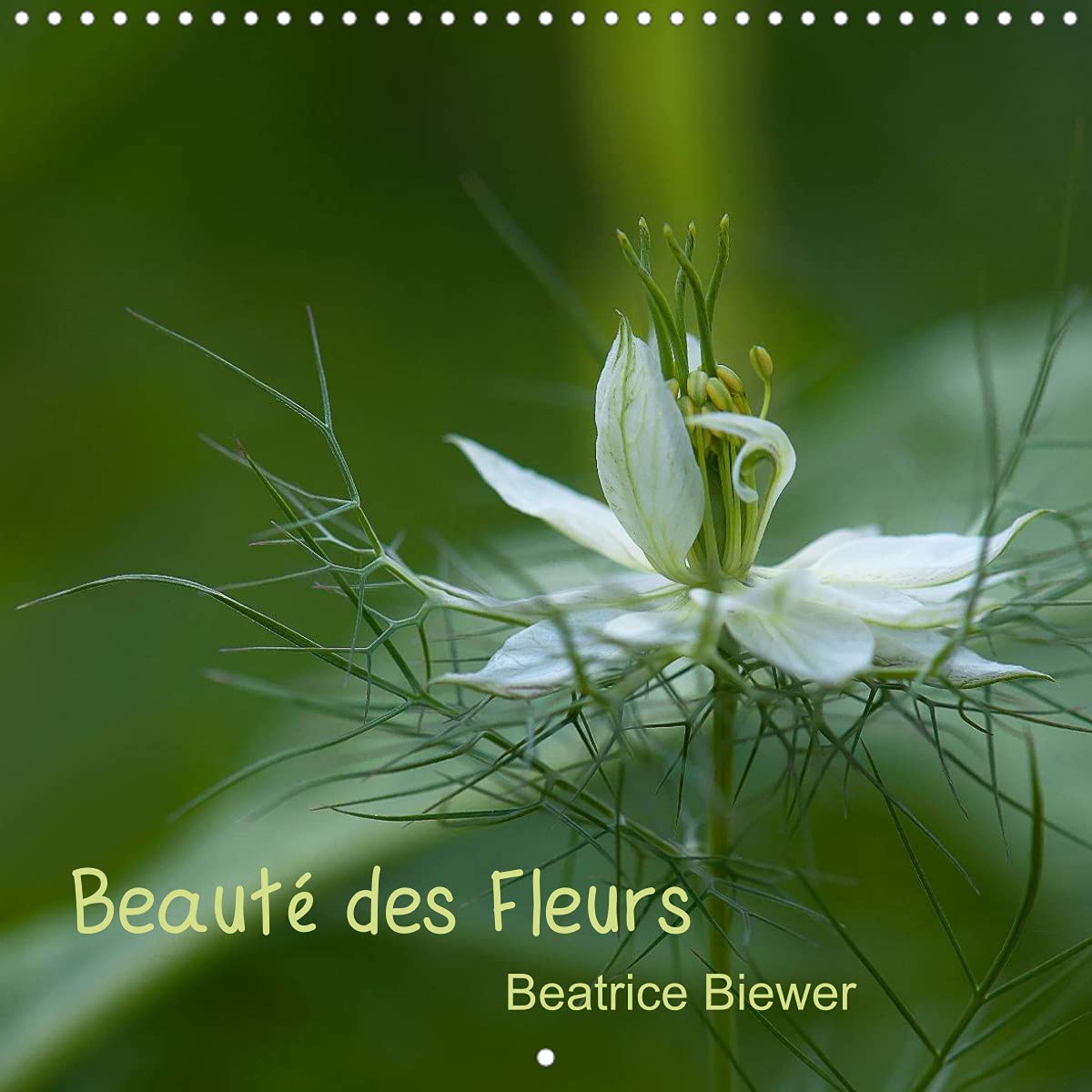 Beauté des Fleurs (Calendrier mural 2022 300 × 300 mm Square): Petite ou grande, chaque fleur dévoile sa beauté (Calendrier mensuel, 14 Pages ) Leisure, Home & Garden
