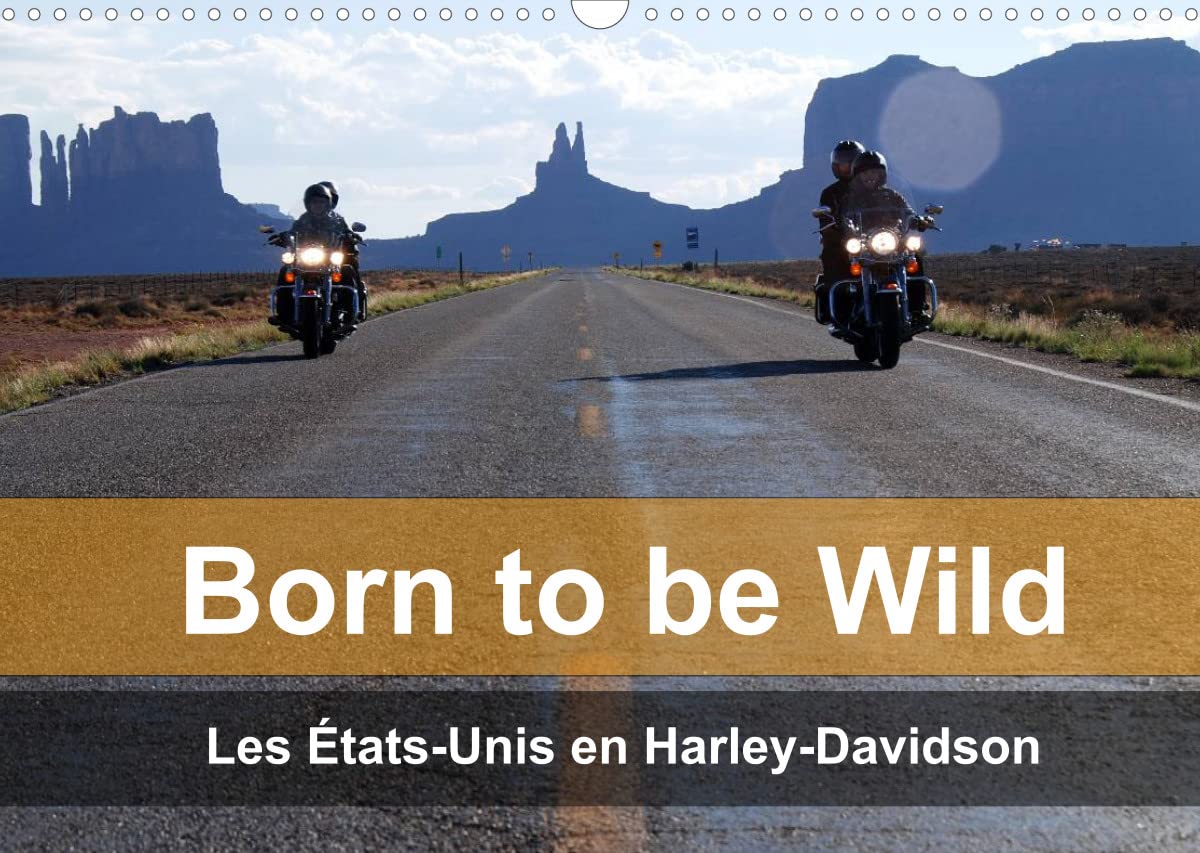 Born to be wild - Les États-Unis en Harley-Davidson (Calendrier mural 2022 DIN A3 horizontal): Les magnifiques paysages du Sud-Ouest américain vus de ... d'une Harley (Calendrier mensuel, 14 Pages ) Leisure, Home & Garden
