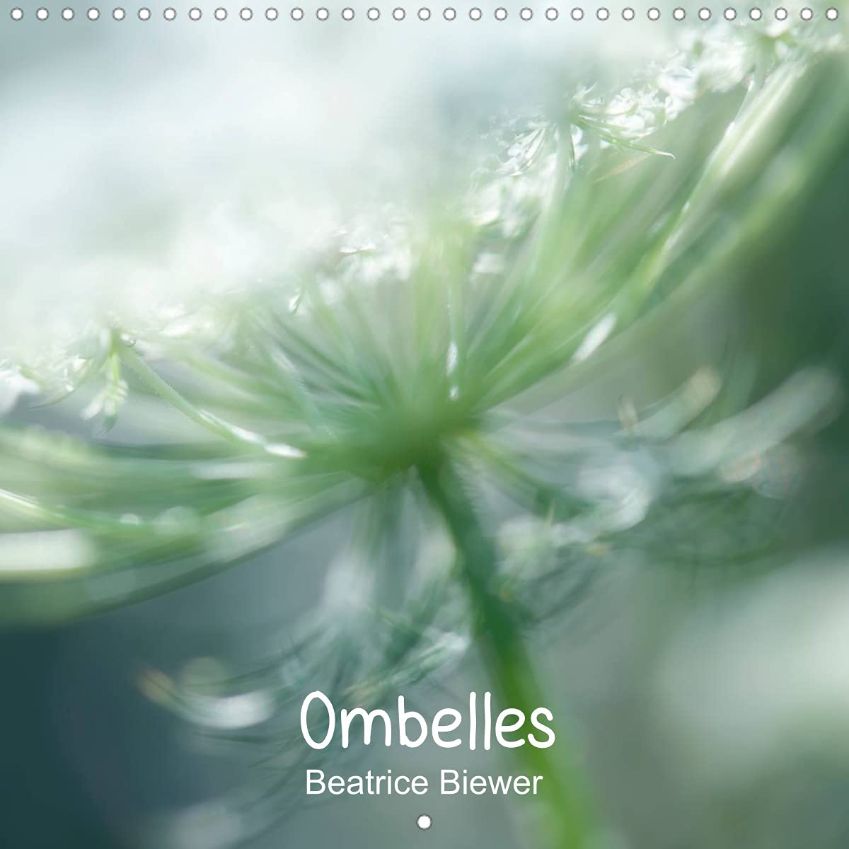 Ombelles (Calendrier mural 2022 300 × 300 mm Square): La carotte sauvage (Calendrier mensuel, 14 Pages ) Leisure, Home & Garden