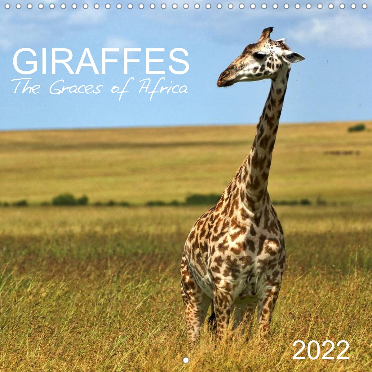 Giraffes - The Graces of Africa (Wall Calendar 2022 300 × 300 mm Square): Follow these majestic animals through the savannahs of Africa. (Monthly calendar, 14 pages ) Leisure, Home & Garden