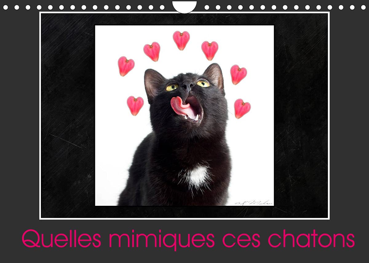 Quelles mimiques ces chatons (Calendrier mural 2022 DIN A4 horizontal): Un calendrier plein d'humour (Calendrier mensuel, 14 Pages ) Children's books