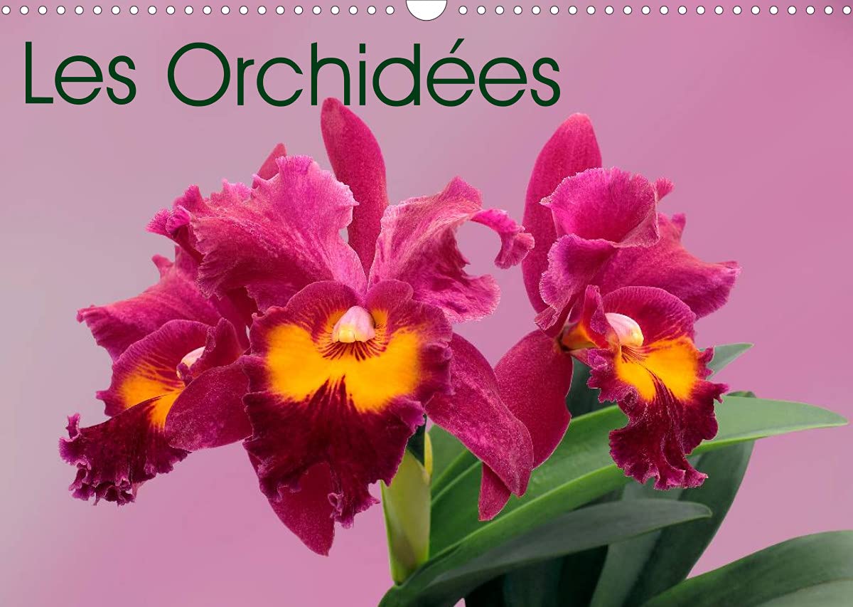 Les Orchidées (Calendrier mural 2022 DIN A3 horizontal): Les orchidées exotiques (Calendrier mensuel, 14 Pages ) book