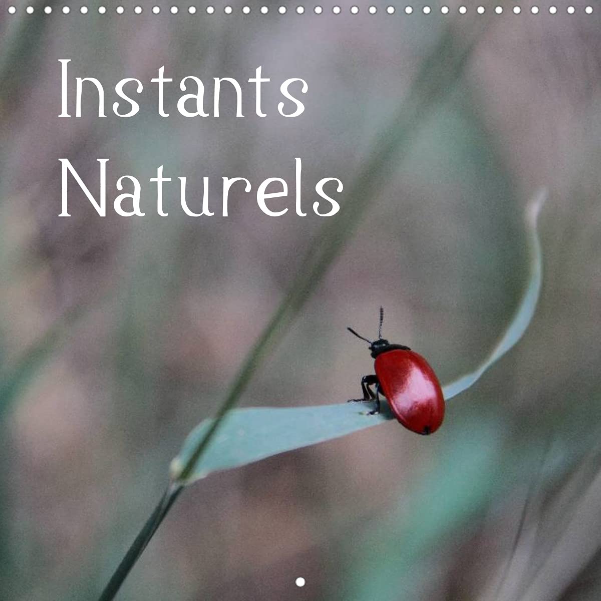 Instants Naturels (Calendrier mural 2022 300 × 300 mm Square): Instants Naturels : Laissez-vous envoûter par le monde magique de notre nature. (Calendrier mensuel, 14 Pages ) Leisure, Home & Garden