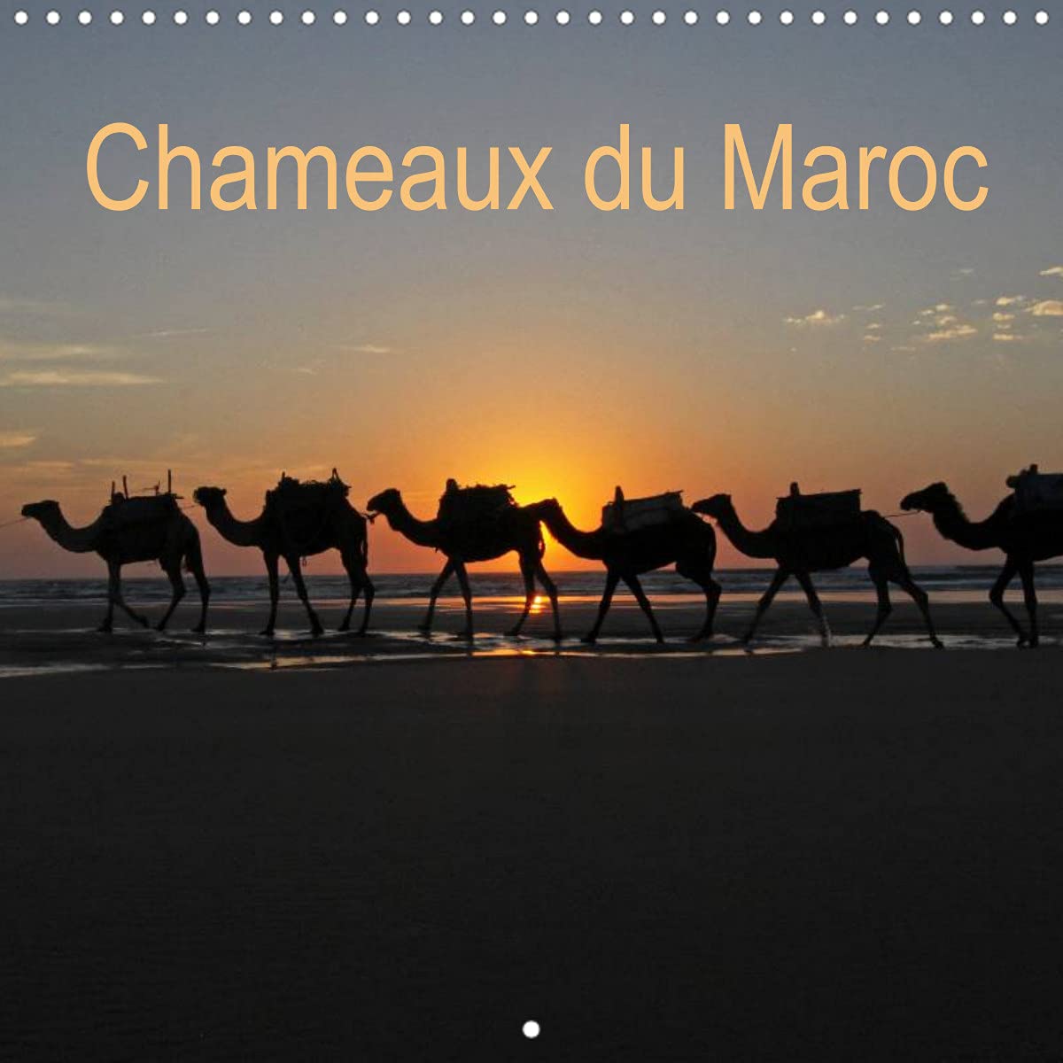Chameaux du Maroc (Calendrier mural 2022 300 × 300 mm Square): Trekking avec des chameaux au Maroc (Calendrier mensuel, 14 Pages ) Film, Art & Culture