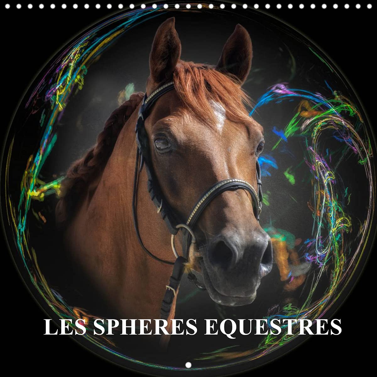 Les sphères équestres (Calendrier mural 2022 300 × 300 mm Square): Créations autour du cheval (Calendrier mensuel, 14 Pages ) Leisure, Home & Garden