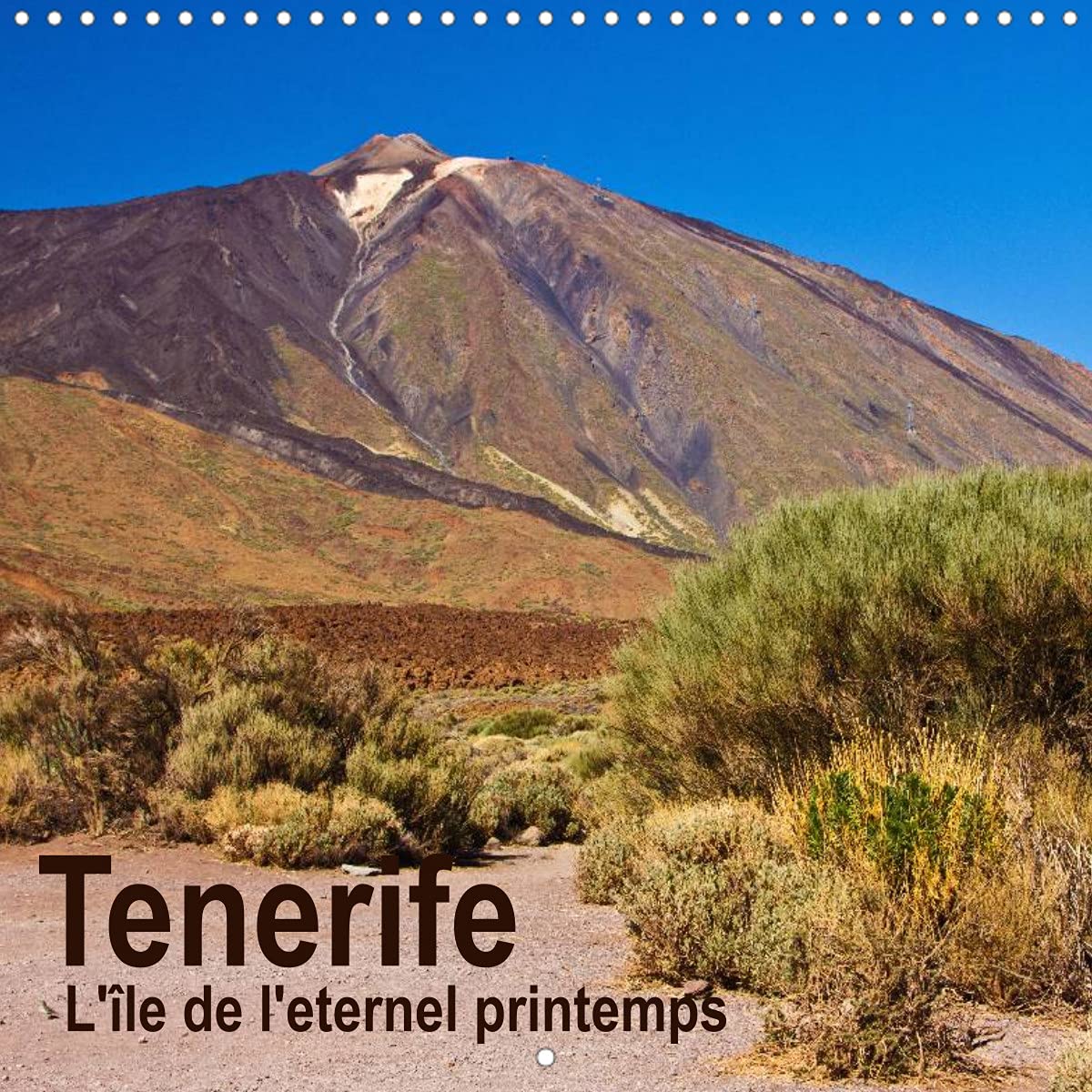 Tenerife - L'île de l'eternel printemps (Calendrier mural 2022 300 × 300 mm Square): Un voyage photographique sur l'île de Tenerife (Calendrier mensuel, 14 Pages ) Leisure, Home & Garden