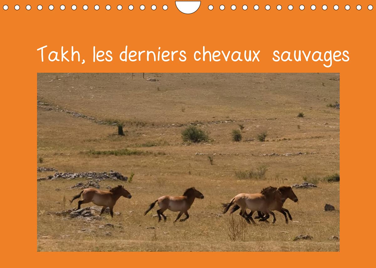 Takh, les derniers chevaux sauvages (Calendrier mural 2022 DIN A4 horizontal): Nom mongol de ce cheval originaire d'Asie Centrale (Calendrier mensuel, 14 Pages ) Film, Art & Culture