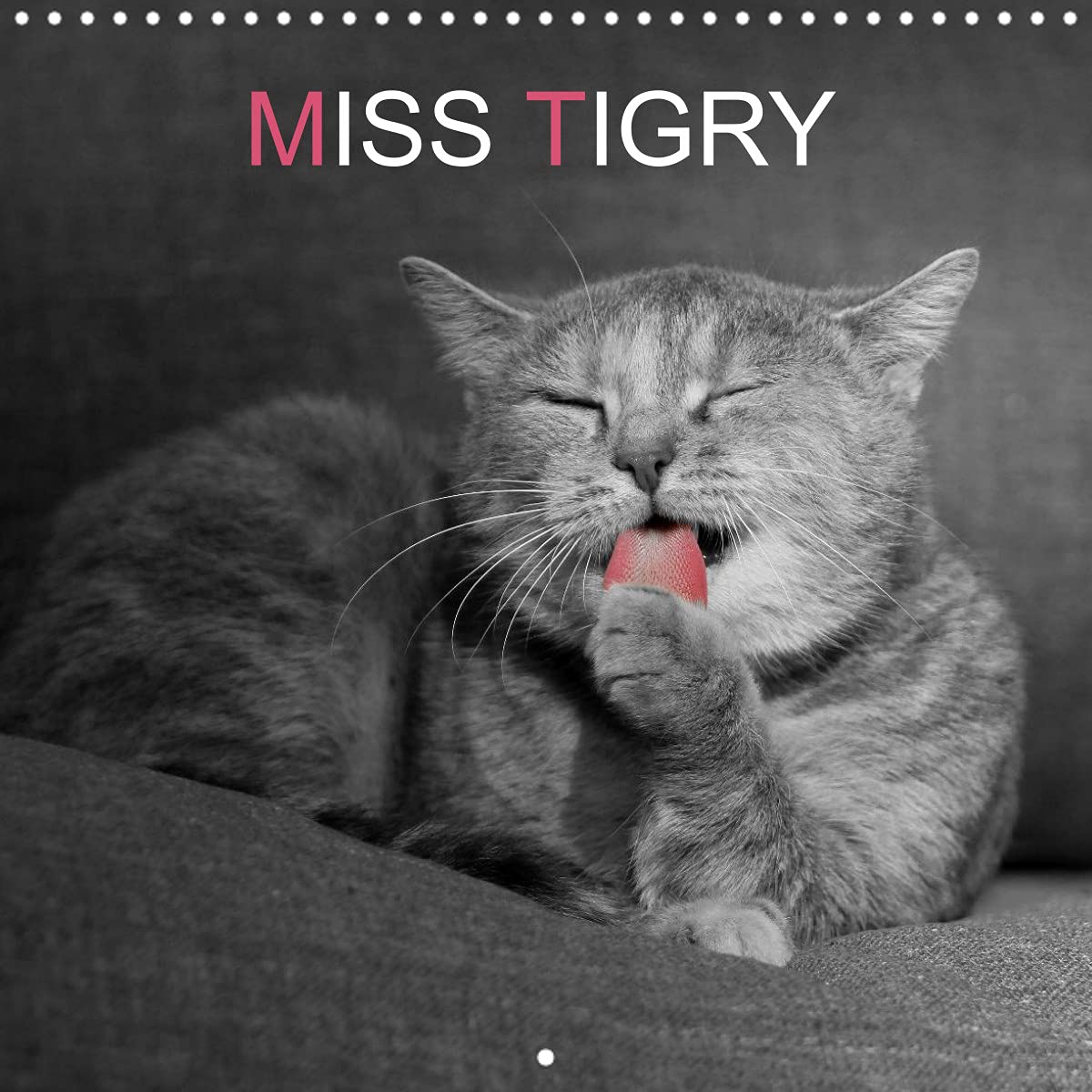 Miss TIGRY (Calendrier mural 2022 300 × 300 mm Square): Miss TIGRY ou la vie d'un chat (Calendrier mensuel, 14 Pages ) Leisure, Home & Garden