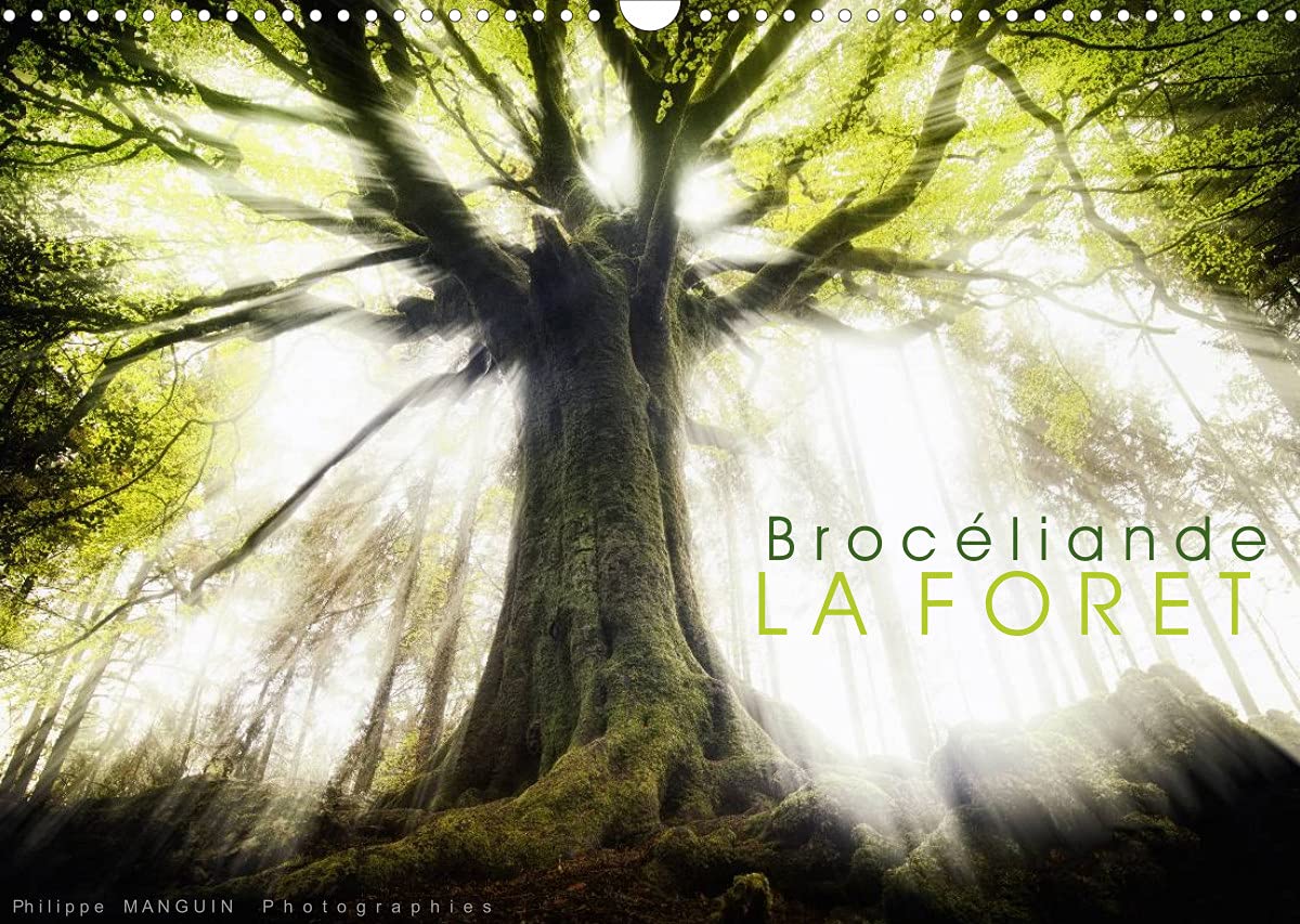 BROCELIANDE, la forêt (Calendrier mural 2022 DIN A3 horizontal): photographies de la forêt de Brocéliande (Calendrier mensuel, 14 Pages ) book