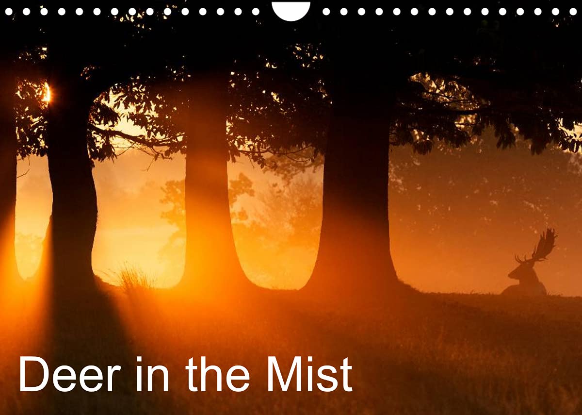 Deer in the Mist (Wall Calendar 2022 DIN A4 Landscape): Photos of Deer in the Mist (Monthly calendar, 14 pages ) Leisure, Home & Garden