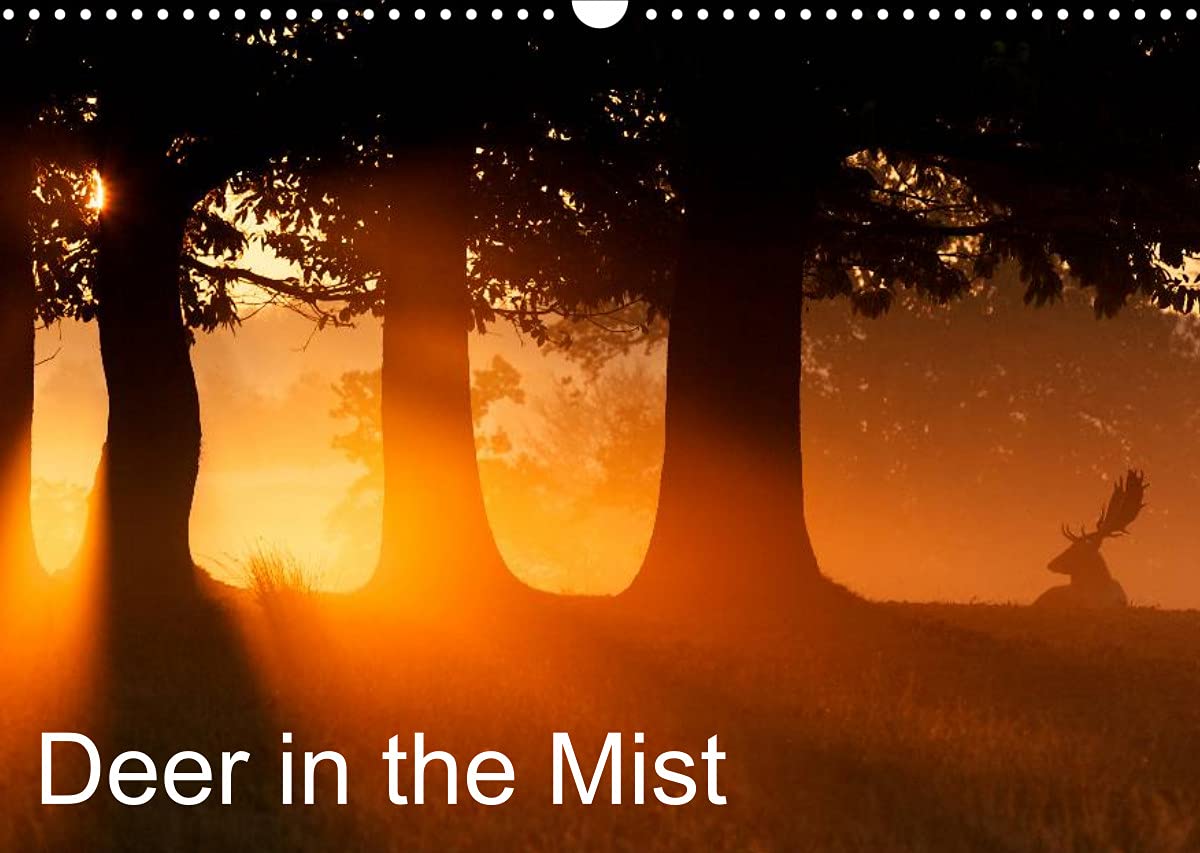 Deer in the Mist (Wall Calendar 2022 DIN A3 Landscape): Photos of Deer in the Mist (Monthly calendar, 14 pages ) Leisure, Home & Garden