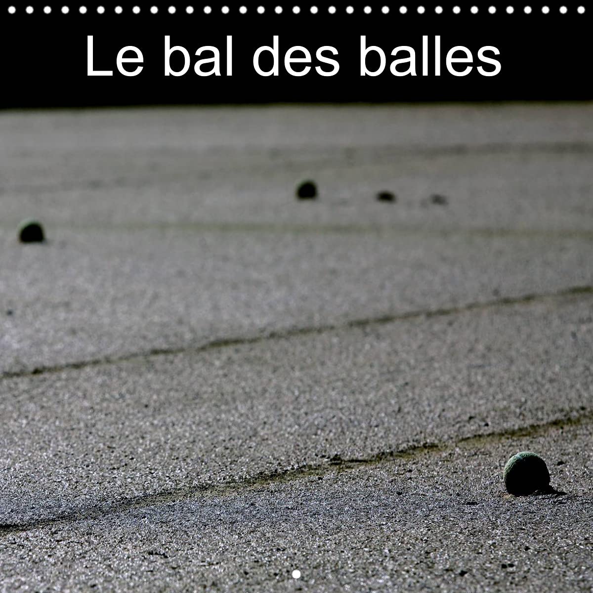Le bal des balles (Calendrier mural 2022 300 × 300 mm Square): Un autre regard sur le tennis (Calendrier mensuel, 14 Pages ) Leisure, Home & Garden