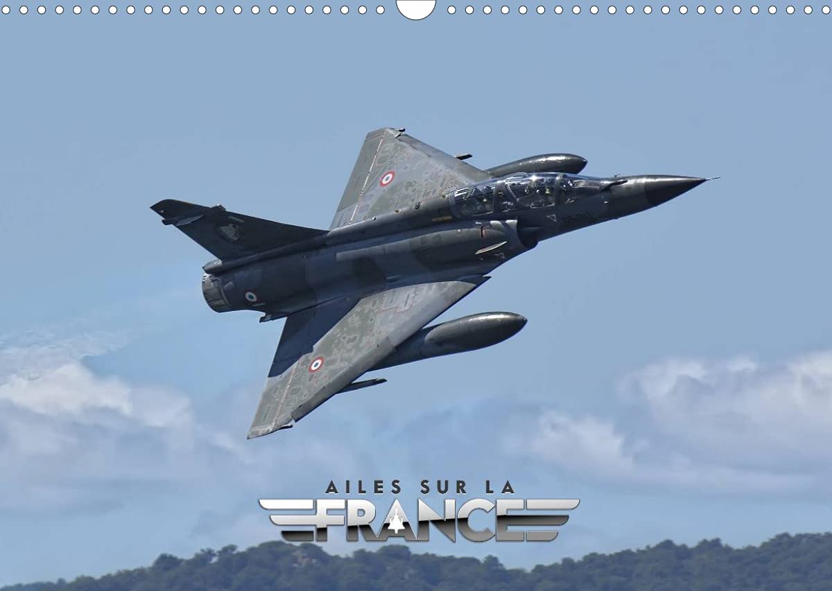 Ailes sur la France (Calendrier mural 2022 DIN A3 horizontal): Avions militaires et civils en démonstration dynamique en France (Calendrier mensuel, 14 Pages ) book