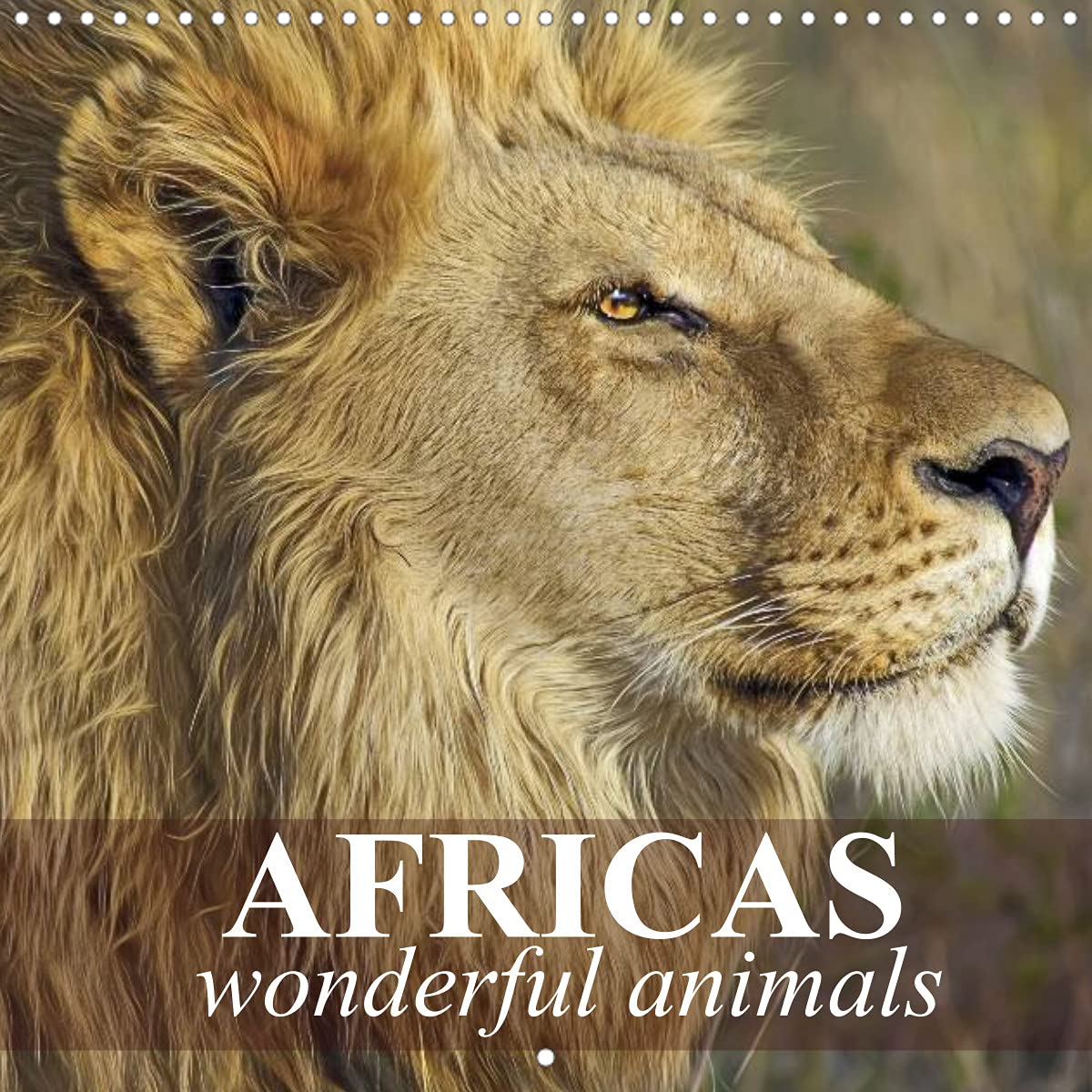 Africas wonderful animals (Wall Calendar 2022 300 × 300 mm Square): Africas beautiful animals in the wild (Monthly calendar, 14 pages ) Leisure, Home & Garden