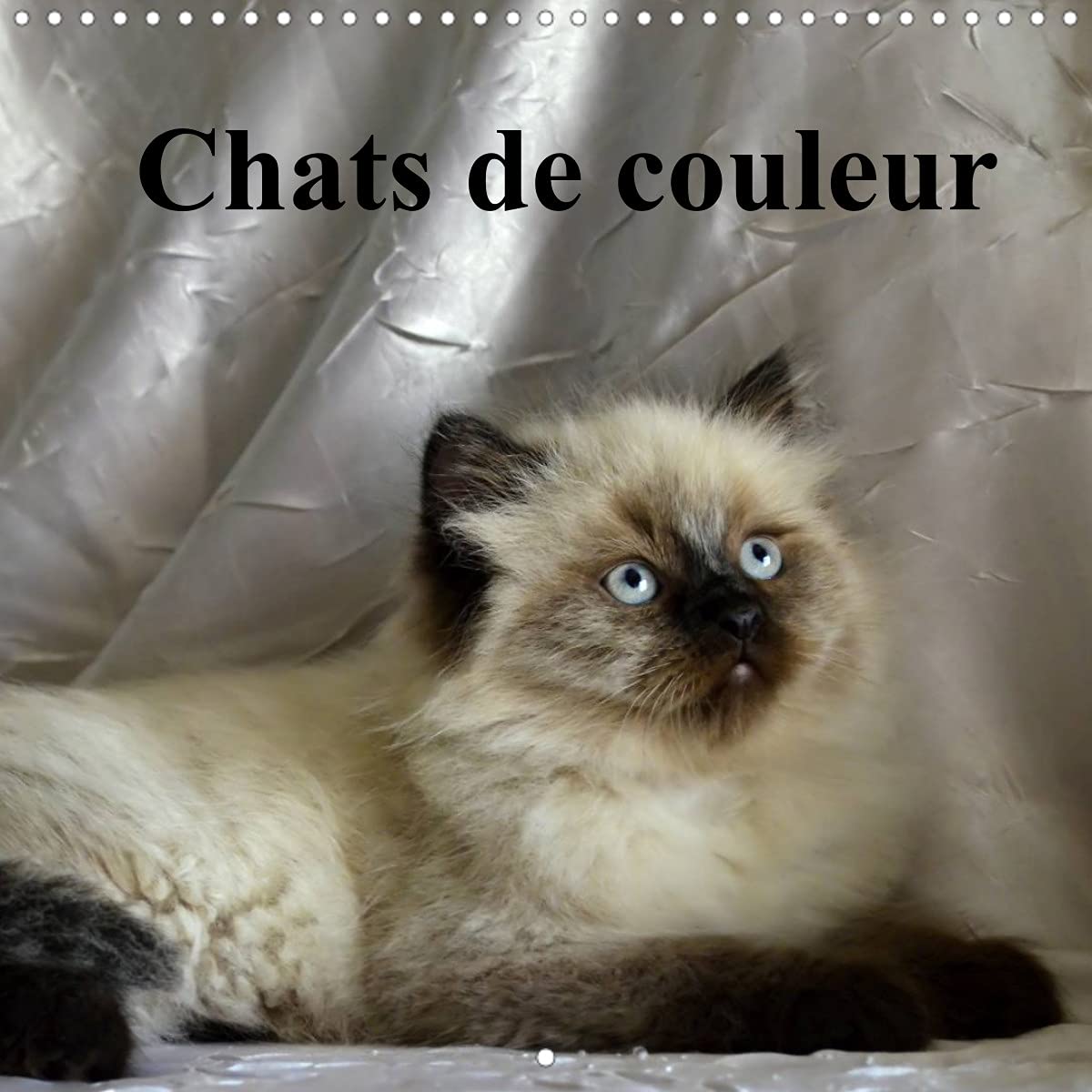 Chats de couleur (Calendrier mural 2022 300 × 300 mm Square): Chats et chatons de coleur avec de magnifiques yeux bleus. (Calendrier mensuel, 14 Pages ) Leisure, Home & Garden