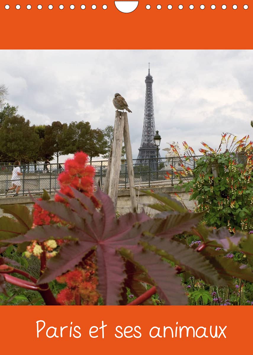 Paris et ses animaux (Calendrier mural 2022 DIN A4 vertical): Photos de Paris avec ses oiseaux, ses chiens, vus avec humour, par Capella MP. (Calendrier mensuel, 14 Pages ) Film, Art & Culture