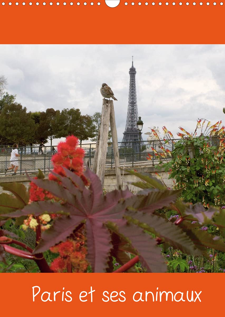 Paris et ses animaux (Calendrier mural 2022 DIN A3 vertical): Photos de Paris avec ses oiseaux, ses chiens, vus avec humour, par Capella MP. (Calendrier mensuel, 14 Pages ) Film, Art & Culture