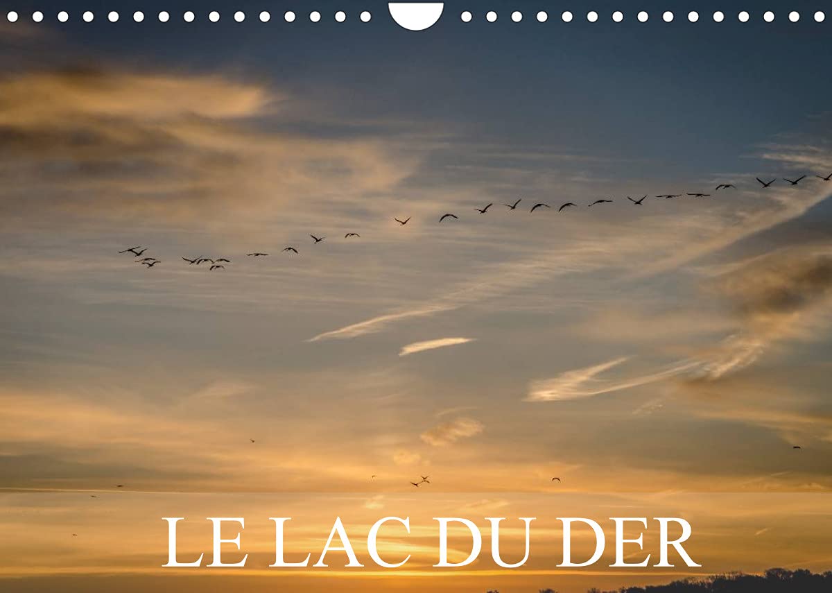 Le lac du Der (Calendrier mural 2022 DIN A4 horizontal): Paysages du lac du Der (Calendrier mensuel, 14 Pages ) Film, Art & Culture