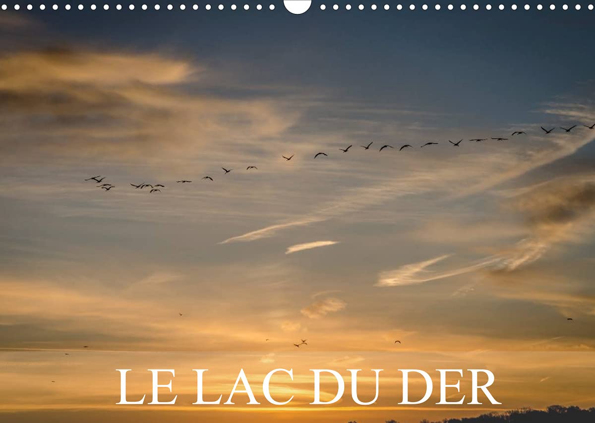 Le lac du Der (Calendrier mural 2022 DIN A3 horizontal): Paysages du lac du Der (Calendrier mensuel, 14 Pages ) Film, Art & Culture