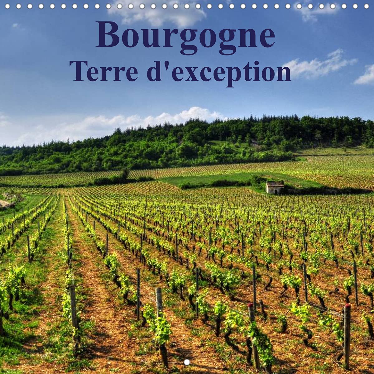 Bourgogne Terre d'exception (Calendrier mural 2022 300 × 300 mm Square): La Bourgogne magnifique région aux vignobles réputés (Calendrier mensuel, 14 Pages ) Film, Art & Culture
