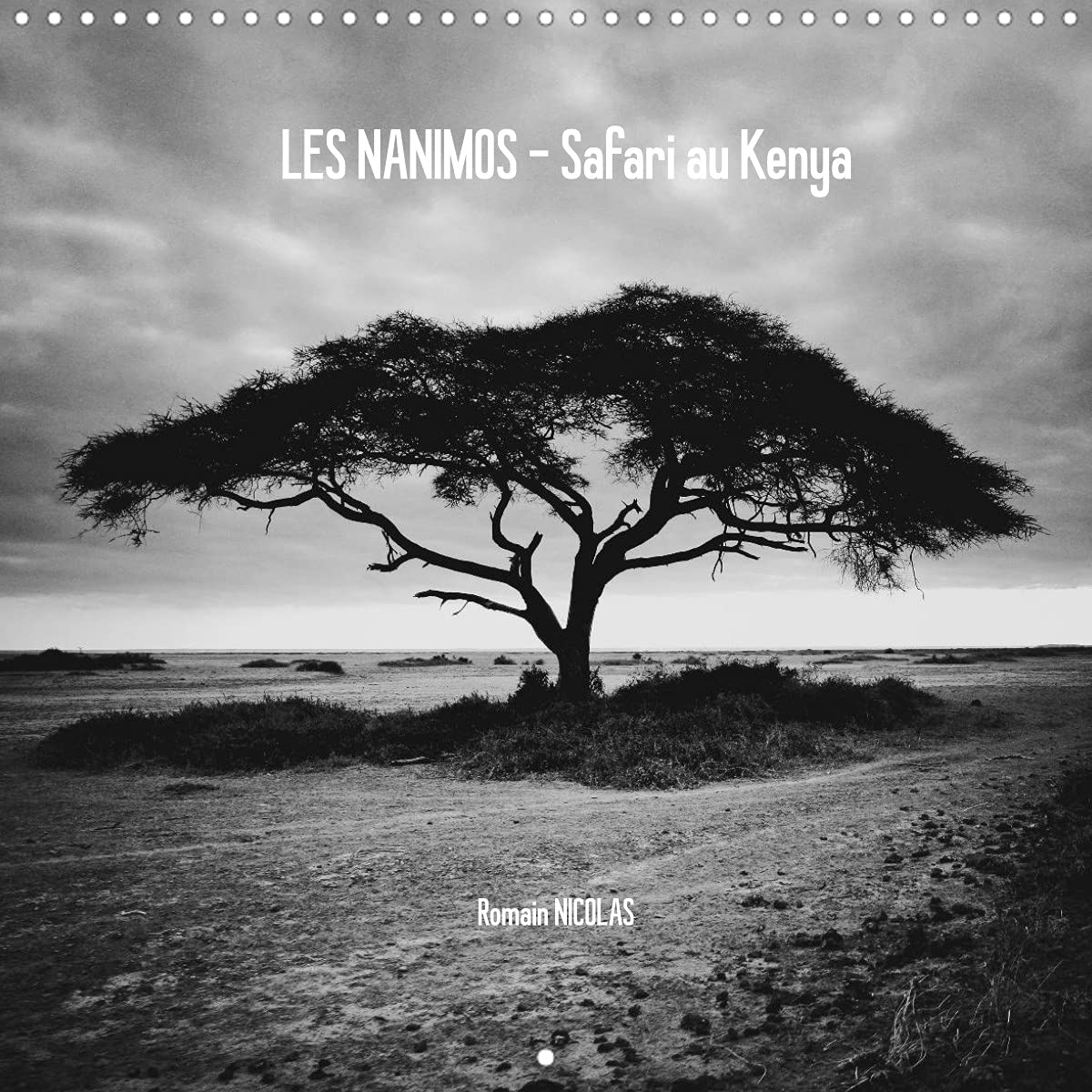LES NANIMOS - Safari au Kenya (Calendrier mural 2022 300 × 300 mm Square): Série en noir et blanc sur les animaux rencontrés lors d'un safari au Kenya... (Calendrier mensuel, 14 Pages ) Leisure, Home & Garden