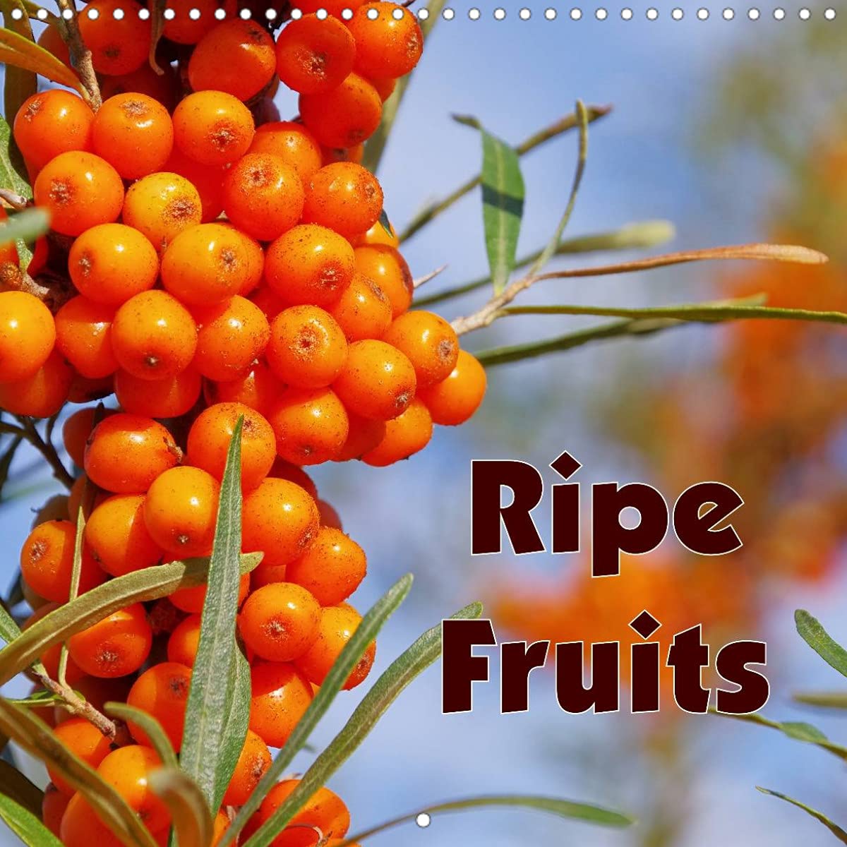 Ripe Fruits (Wall Calendar 2022 300 × 300 mm Square): A kitchen calendar with local and exotic fruit. (Monthly calendar, 14 pages ) Leisure, Home & Garden