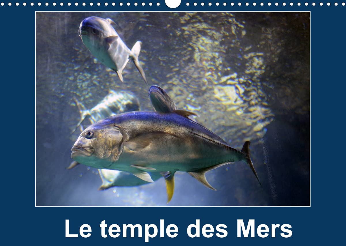 Le temple des Mers (Calendrier mural 2022 DIN A3 horizontal): Situé sur le rocher de Monaco, le Musée océanographique accueille plus de 700 000 visiteurs chaque année. (Calendrier mensuel, 14 Pages ) Business & Technology