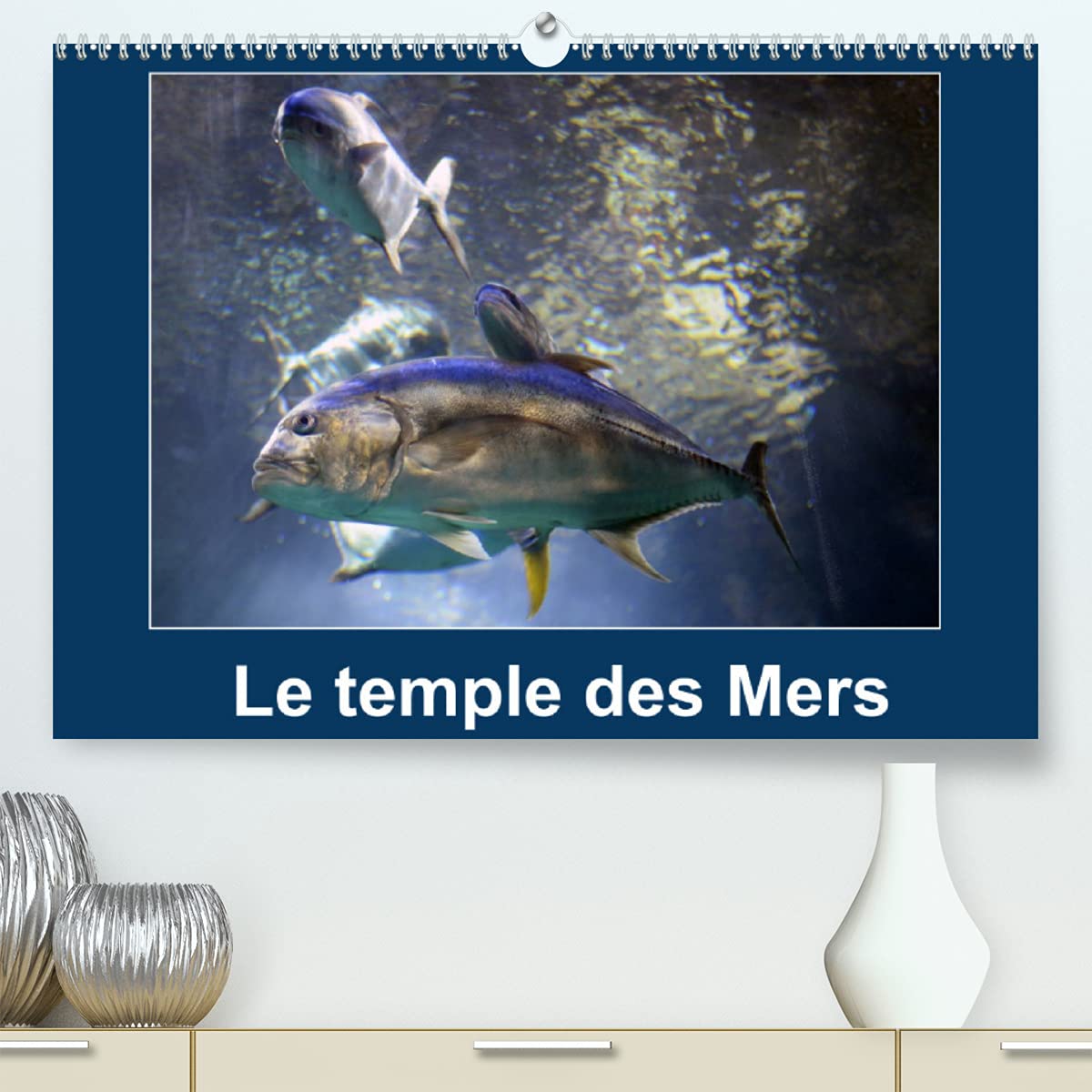 Le temple des Mers (Premium, hochwertiger DIN A2 Wandkalender 2022, Kunstdruck in Hochglanz): Situé sur le rocher de Monaco, le Musée océanographique ... chaque année. (Calendrier mensuel, 14 Pages ) Business & Technology