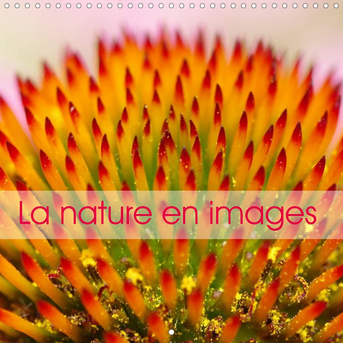 La nature en images (Calendrier mural 2022 300 × 300 mm Square): La nature au fil des saisons, en photos macro hautes en couleurs. (Calendrier mensuel, 14 Pages ) Leisure, Home & Garden