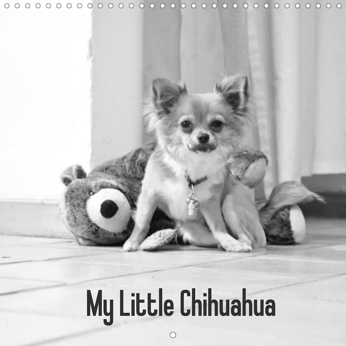 My Little Chihuahua (Wall Calendar 2022 300 × 300 mm Square): A dogs life (Monthly calendar, 14 pages ) Natural Sciences