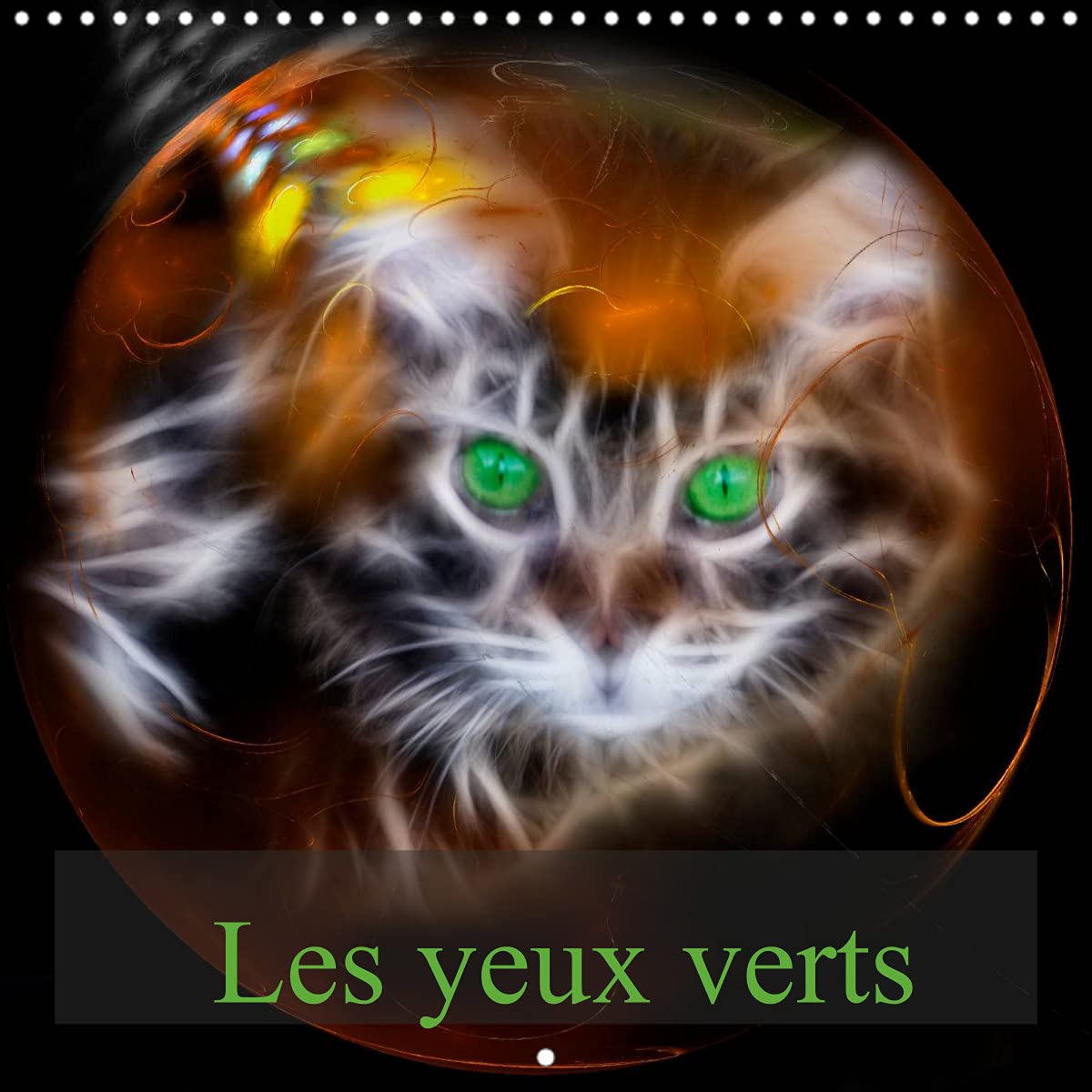 Les yeux verts (Calendrier mural 2022 300 × 300 mm Square): Portraits de chats Maine Coon (Calendrier mensuel, 14 Pages ) Film, Art & Culture
