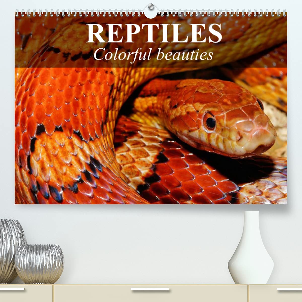 Reptiles Colorful beauties (Premium, hochwertiger DIN A2 Wandkalender 2022, Kunstdruck in Hochglanz): Cold-blooded beauties (Monthly calendar, 14 pages ) Leisure, Home & Garden