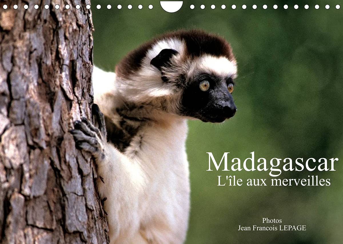 Madagascar L'île aux merveilles (Calendrier mural 2022 DIN A4 horizontal): Scènes de vie malgache (Calendrier mensuel, 14 Pages ) Leisure, Home & Garden