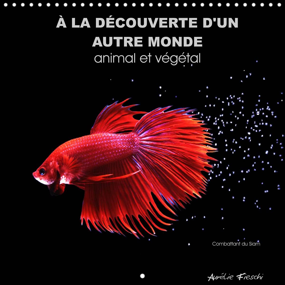 À LA DÉCOUVERTE D'UN AUTRE MONDE animal et végétal (Calendrier mural 2022 300 × 300 mm Square): Un univers graphique et féérique (Calendrier mensuel, 14 Pages ) Leisure, Home & Garden