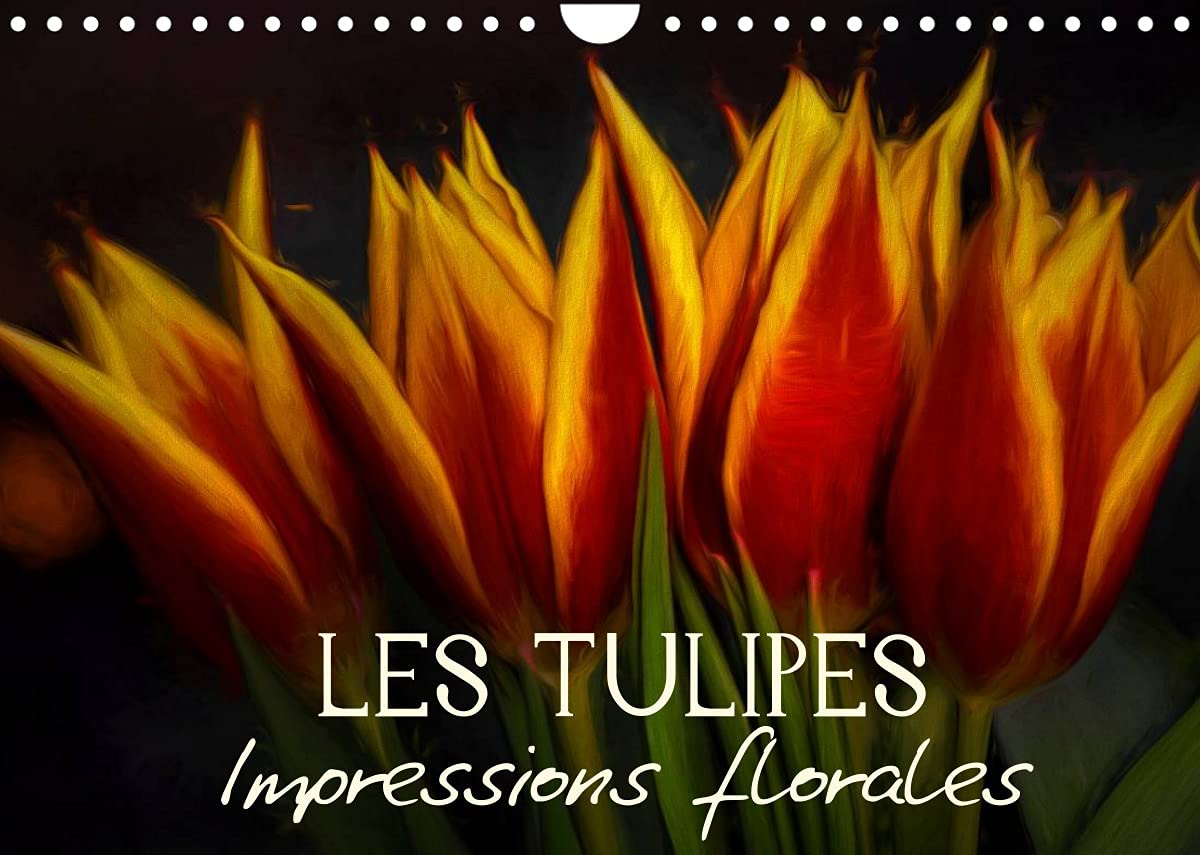 Les Tulipes Impressions florales (Calendrier mural 2022 DIN A4 horizontal): Egayez votre quotidien ! (Calendrier mensuel, 14 Pages ) Leisure, Home & Garden