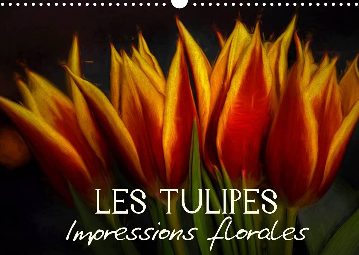 Les Tulipes Impressions florales (Calendrier mural 2022 DIN A3 horizontal): Egayez votre quotidien ! (Calendrier mensuel, 14 Pages ) Leisure, Home & Garden