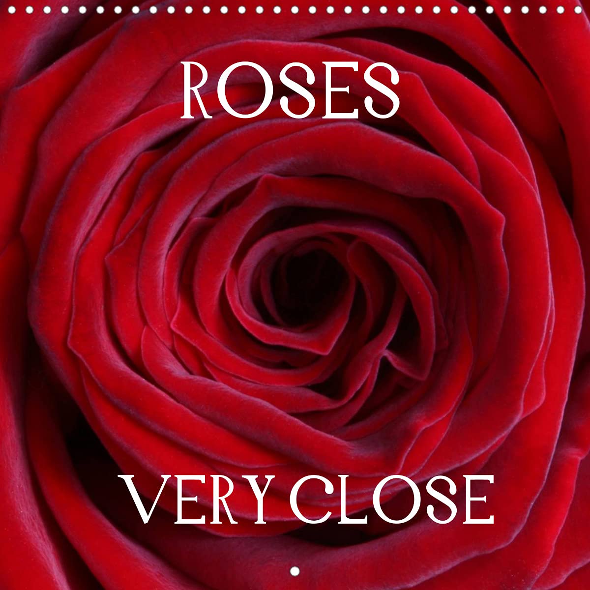 Roses Very Close (Wall Calendar 2022 300 × 300 mm Square): Look into the hearts of roses (Monthly calendar, 14 pages ) Leisure, Home & Garden